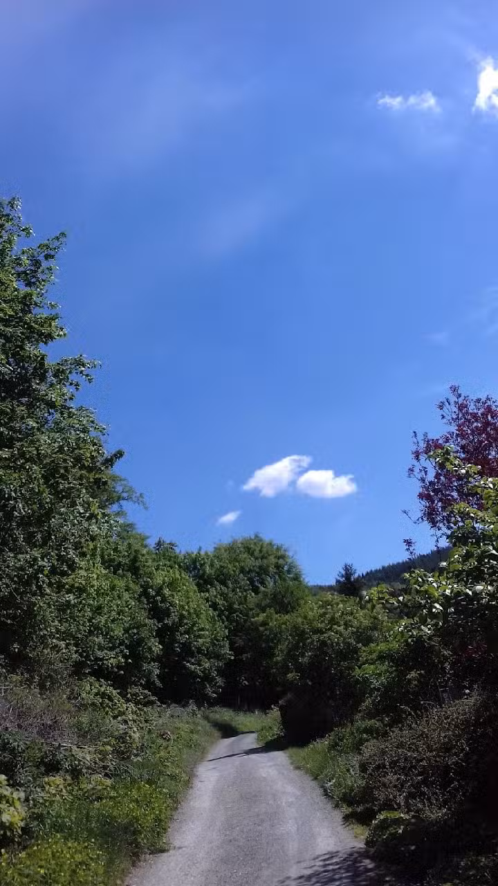 Ferienwohnung Haus Bettina Wernigerode