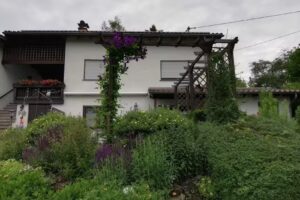 Ferienwohnung Haus Bonny Bollendorf