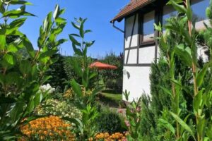 Ferienwohnung Haus Nisch