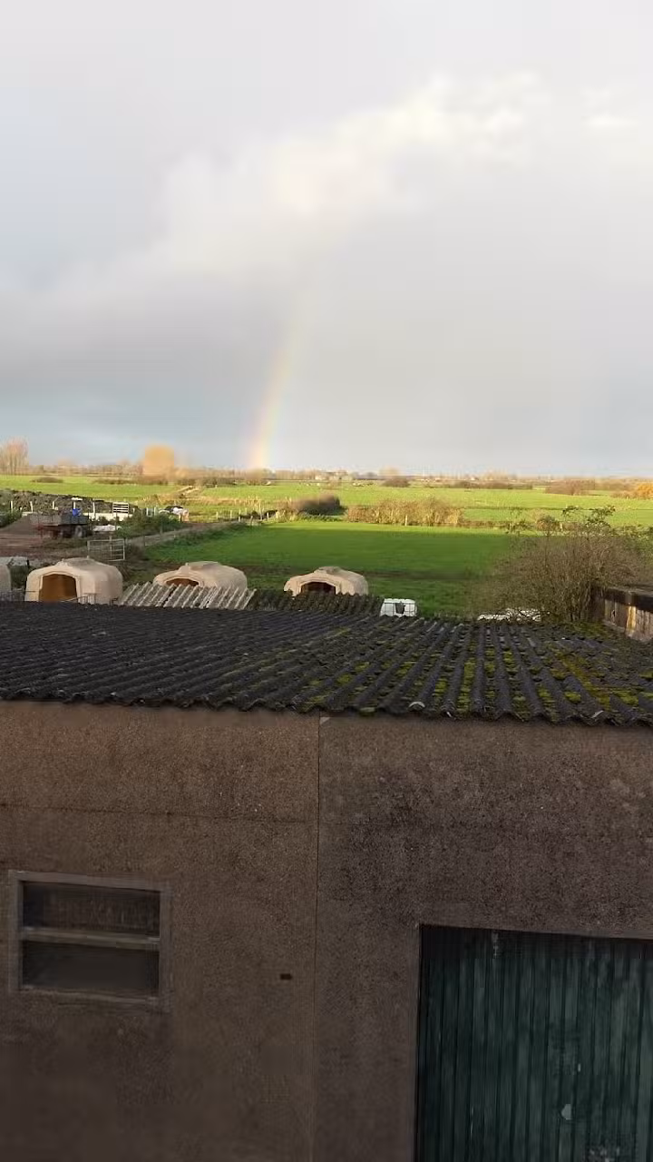 Ferienwohnung Hogefeld