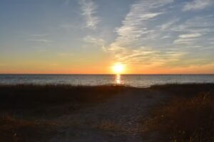 Ferienwohnung Jack Russell