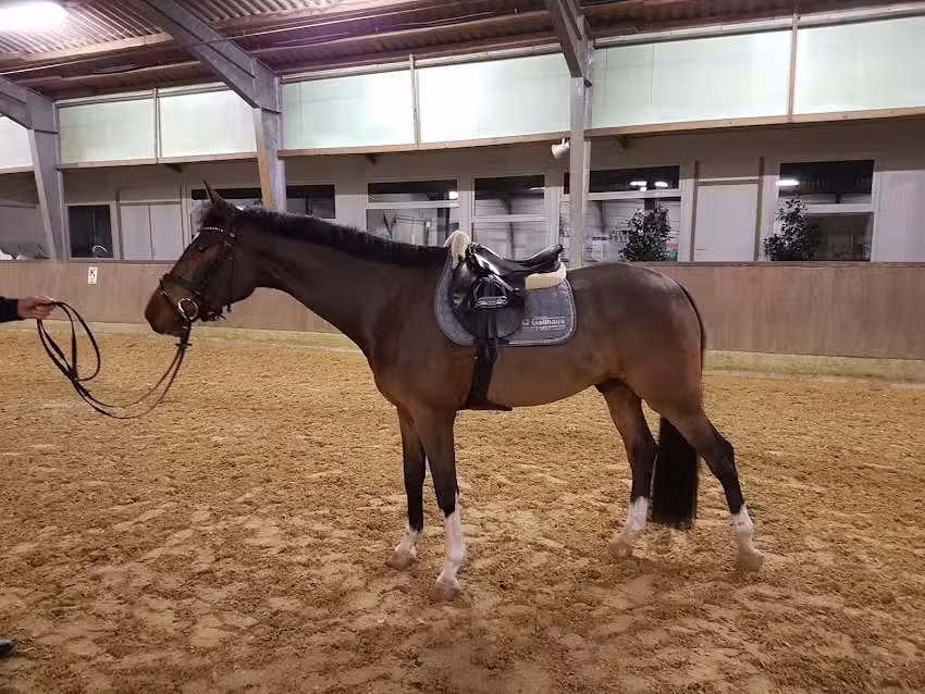 Ferienwohnung Julians zimmer