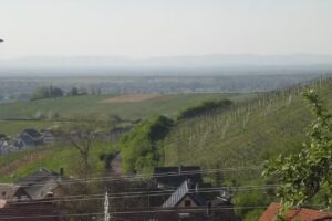 Ferienwohnung „Kastanienhalde“