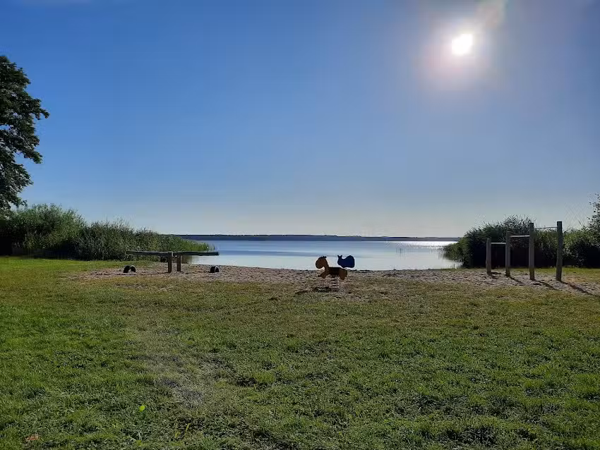 Ferienwohnung Kiewitt
