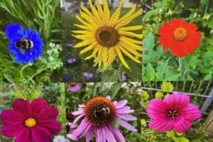 Ferienwohnung Königsmann