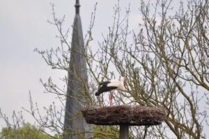 Ferienwohnung „Landhaus Peenetal“ am Amazonas des Nordens