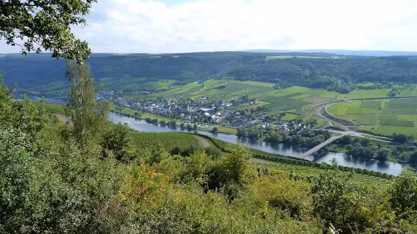 Ferienwohnung „Moselstrand“