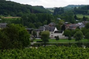 Ferienwohnung Moseltalblick