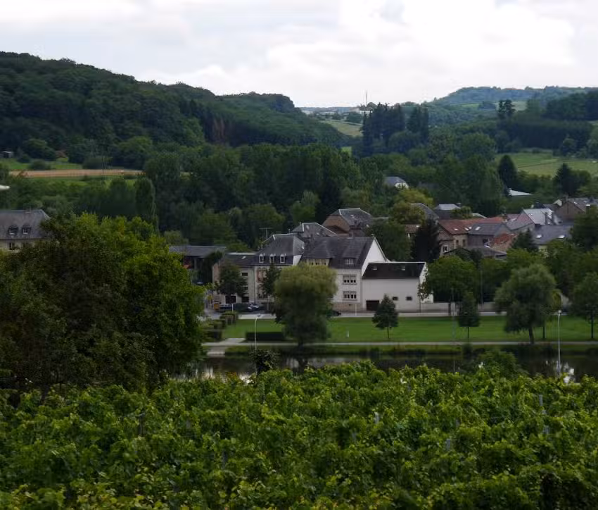 Ferienwohnung Moseltalblick