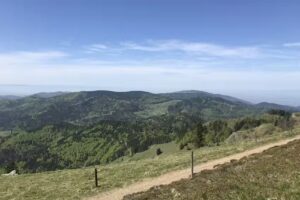 Ferienwohnung Münstertal Schwarzwald Geißler