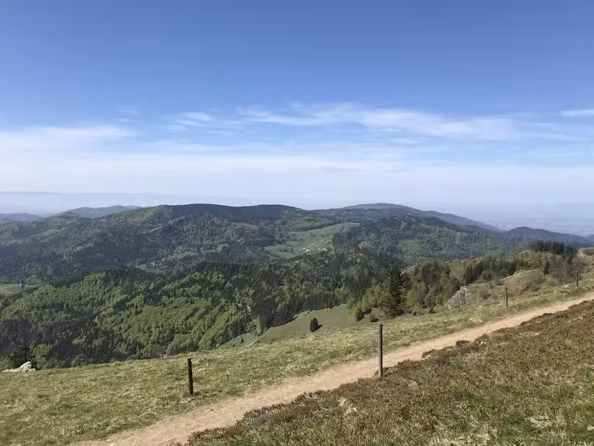 Ferienwohnung Münstertal Schwarzwald Geißler