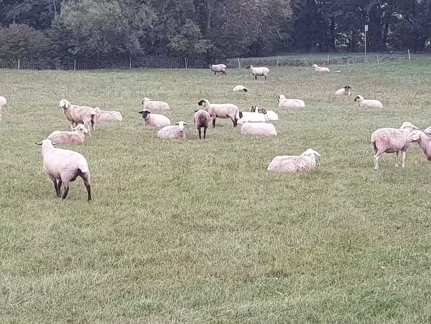 Ferienwohnung Neureuth
