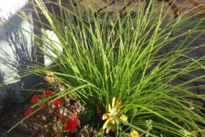 Ferienwohnung Odenwald-Sauter