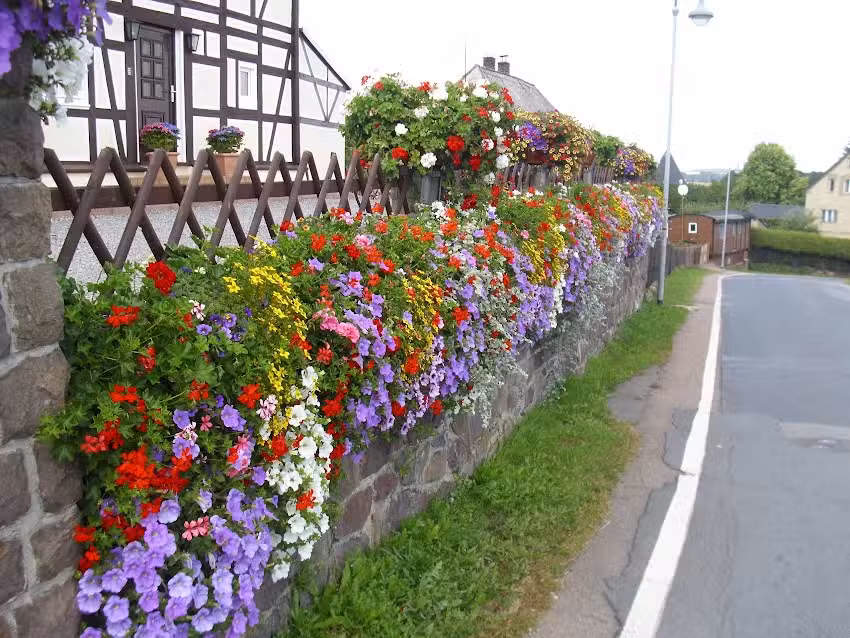 Ferienwohnung & Pension Grit Lämmel