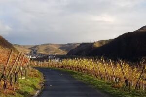 Ferienwohnung Petra Paetz