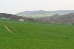 Ferienwohnung Peukert