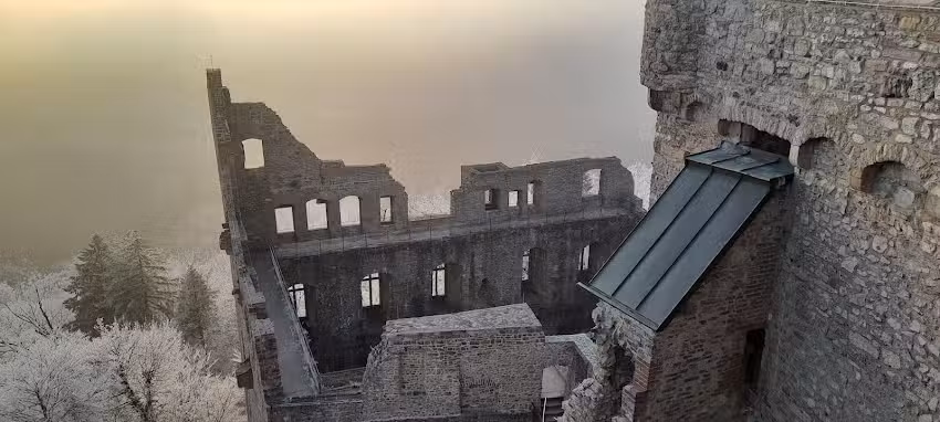 Ferienwohnung Pfeill Baden Baden