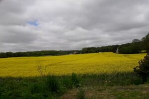 Ferienwohnung Putbus