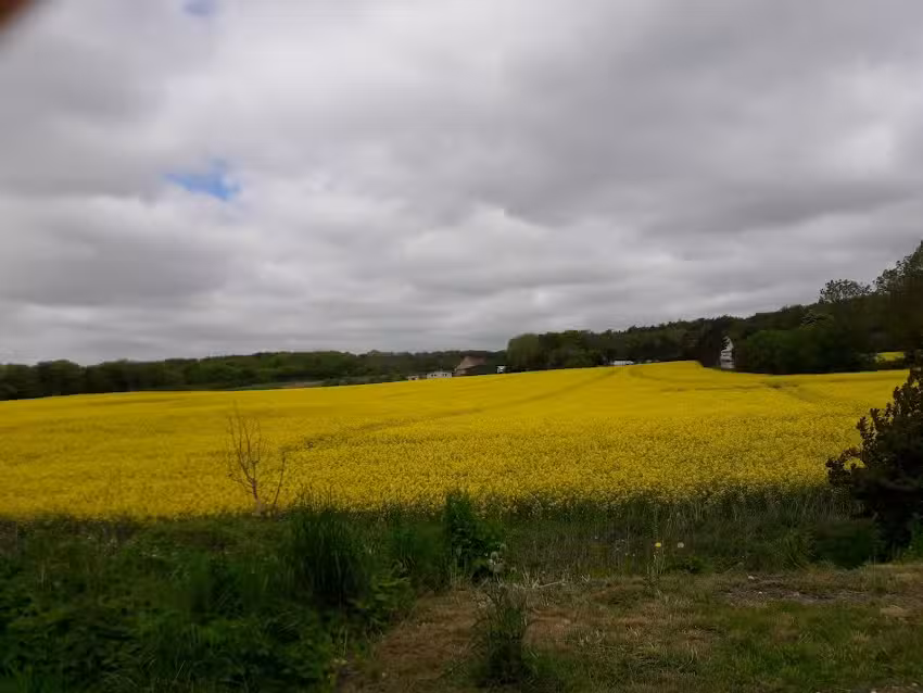 Ferienwohnung Putbus
