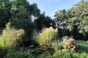 Ferienwohnung – Rieslinghof Friedelsheim