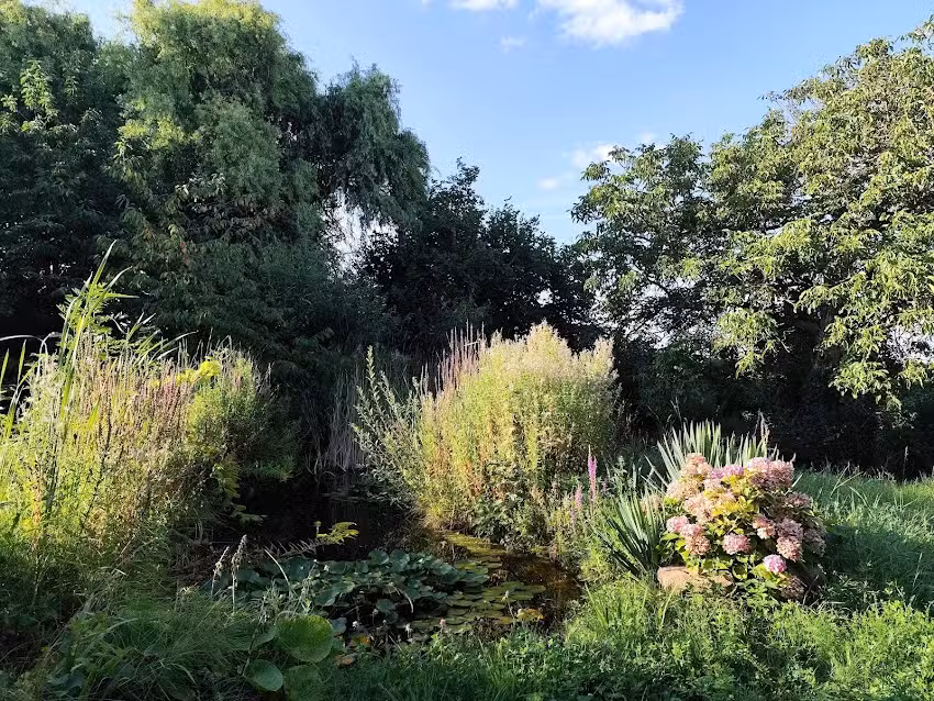 Ferienwohnung – Rieslinghof Friedelsheim