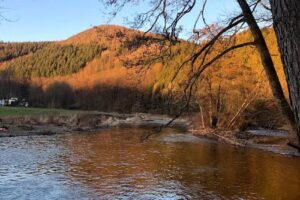 Ferienwohnung Ruhrtal-Villa mit Garten im Sauerland / airbnb