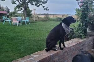 Ferienwohnung – Scheune Zauchwitz