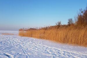 Ferienwohnung Utkiek