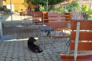 Ferienwohnung Zur Schönen Aussicht