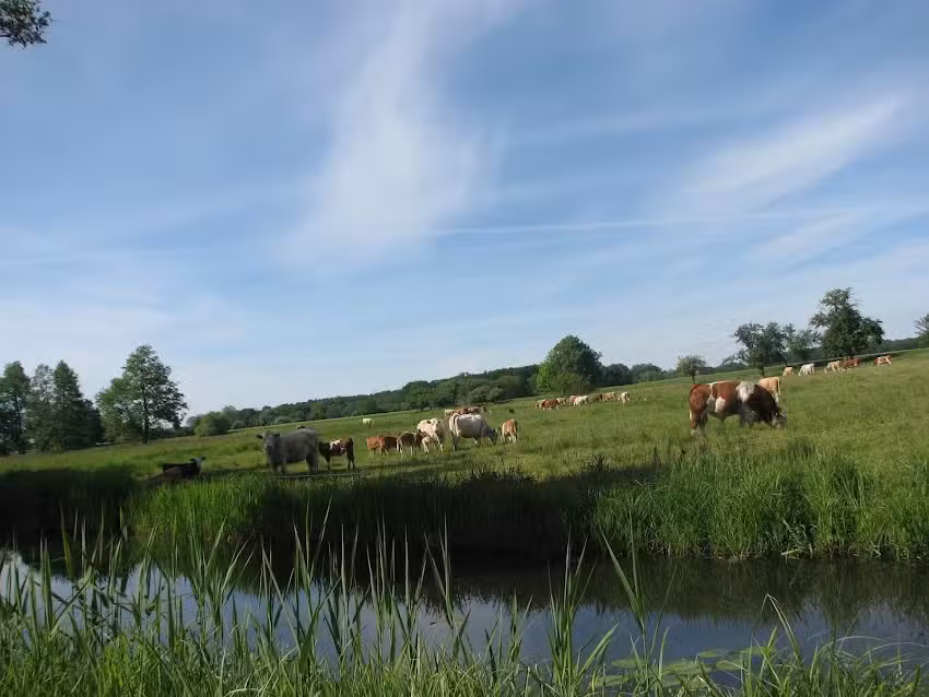 Ferienwohnungen Am Königsgraben