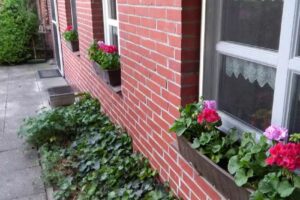 Ferienwohnungen am Weltnaturerbe Wattenmeer-Nordsee