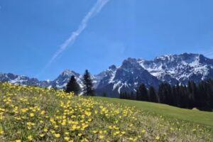 Ferienwohnungen Franz Brandtner