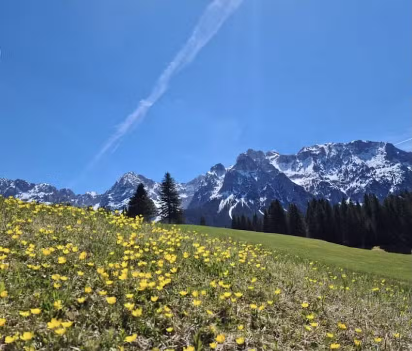 Ferienwohnungen Franz Brandtner