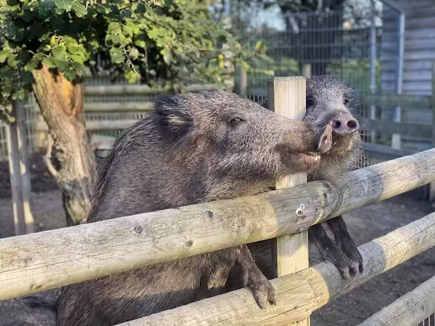 Ferienwohnungen Hof Köhne