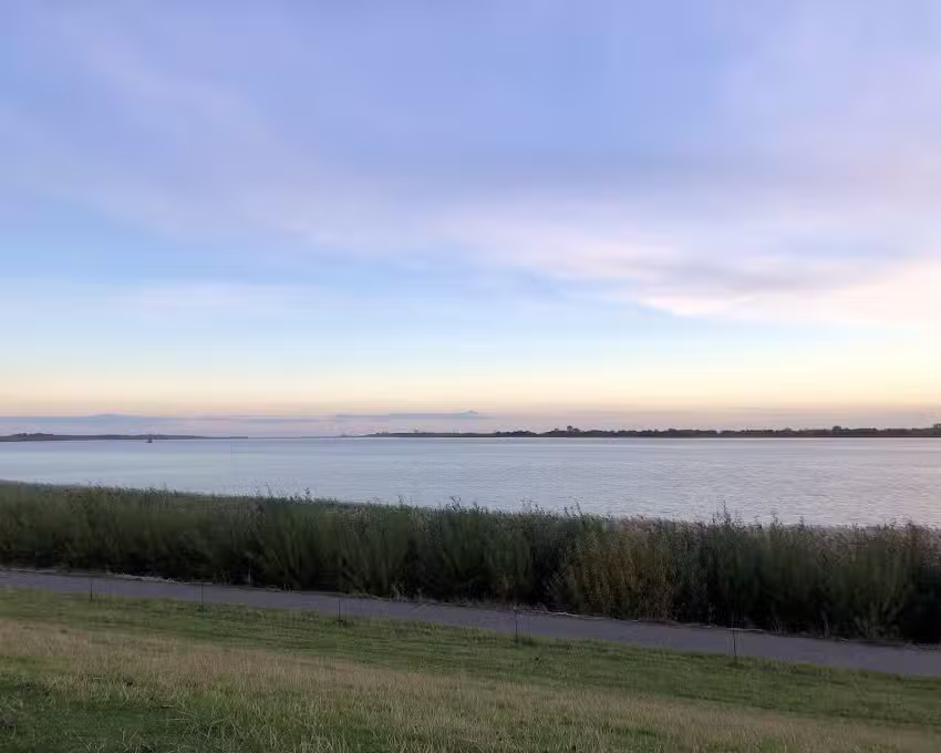 Ferienwohnungen im Holzhaus in Kollmar – Familie Braun