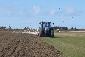 Ferienwohnungen Maike und Markus Bohn