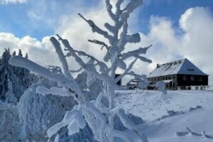 Ferienwohnungen – Martin Simon