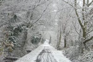 Ferienwohnungen Matthiesen