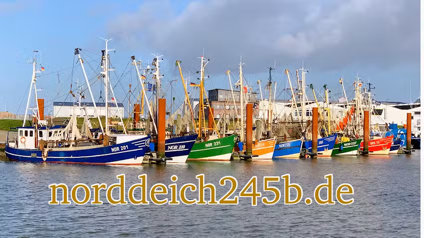Ferienwohnungen „Seestern“ und „Seegras“ Norddeich245b