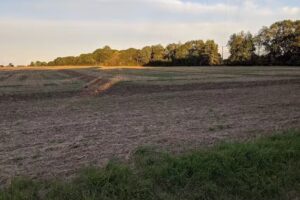 Ferienwohnungen Staberhof