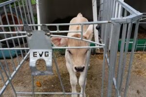 Ferienwohnungen ZuHaus Am Malerwinkel