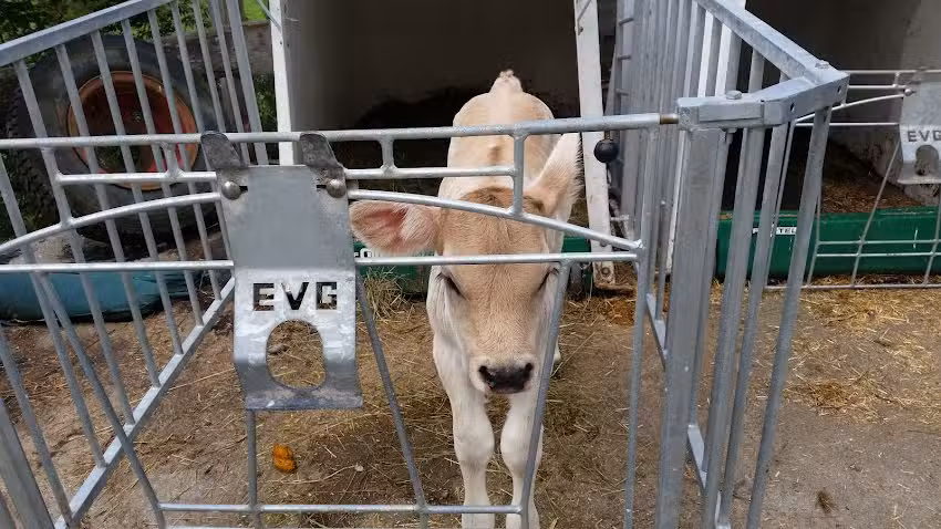 Ferienwohnungen ZuHaus Am Malerwinkel