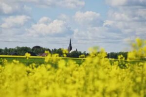 FeWo Neuenbrook, Ferienwohnungen, Unterkünfte und Zimmer in Neuenbrook