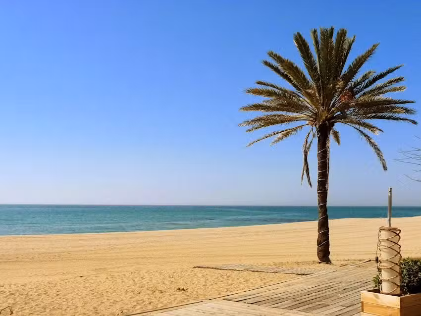 Fewo Vermietung: Lüneburger-Heide, Ostsee & Mittelmeer