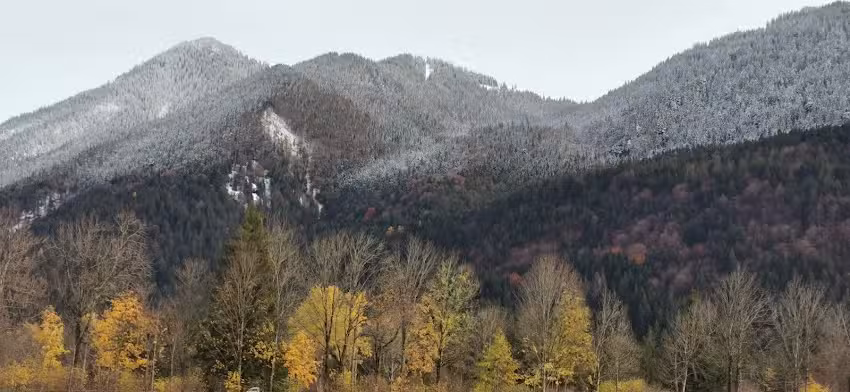 Fini und Klaus Oettl