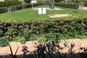 FLAIR FERIENWOHNUNGEN Orchidee & Lilie