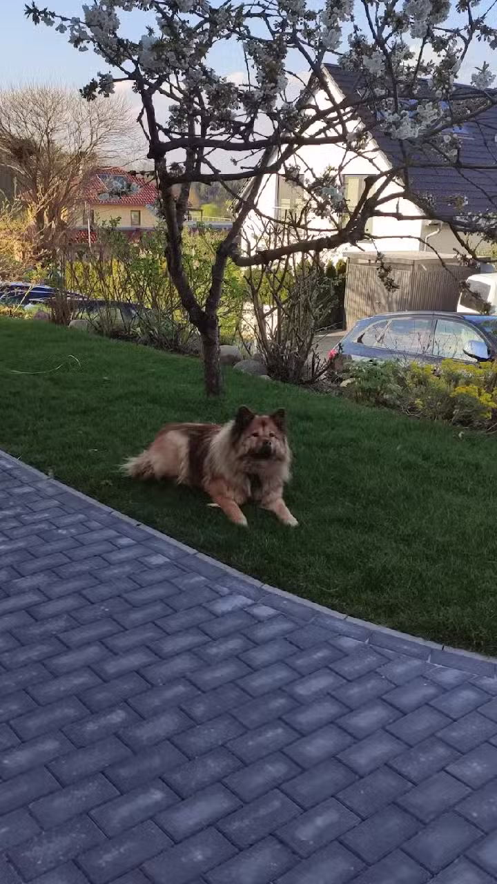 Freistehendes Ferienhaus Casa Uno Göhren-Lebbin