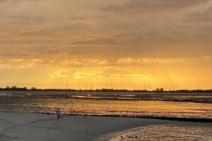 Friesland-Ferienhaeuser