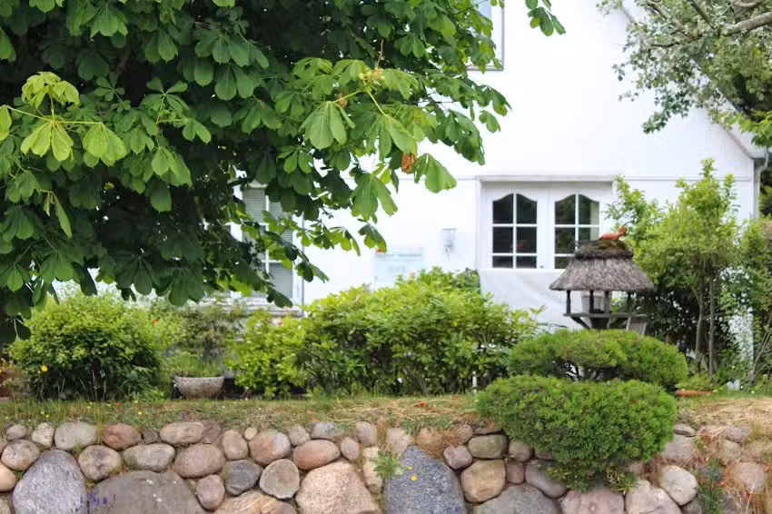 Friesland – Immobilien