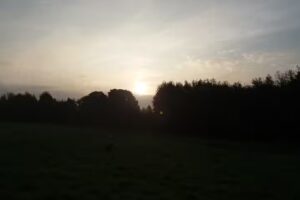 Fritsch Anton Industriebedarf